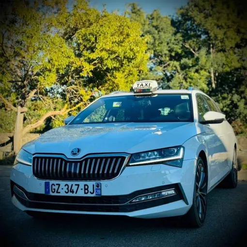 Taxi pour déplacement professionnel à proximité de Folelli, Folelli, Taxi Joël Giudici